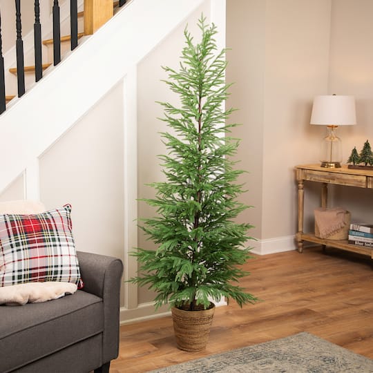 Northlight 6ft. Unlit Medium Norfolk Pine Artificial Potted Christmas Tree